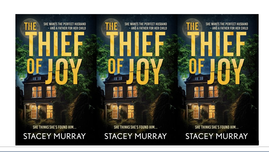 Image shows cover of The Thief of Joy by Stacey Murray