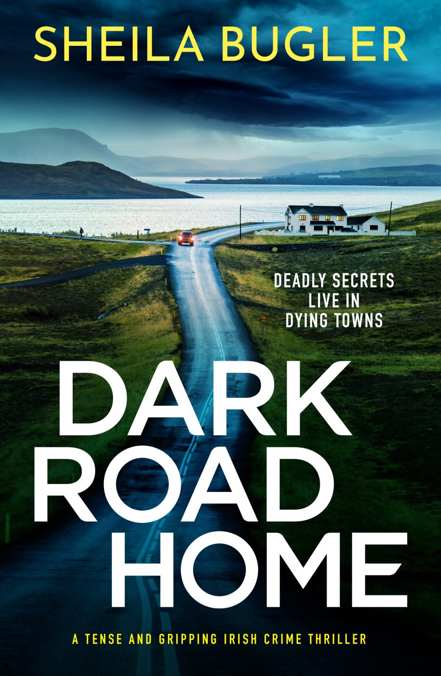 Image shows cover of Dark Road Home by Sheila Bugler
